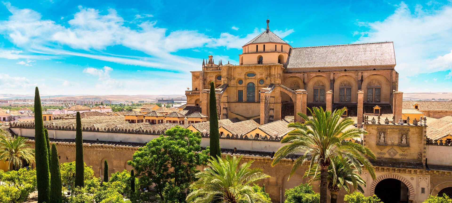 Tours y visitas guiadas
