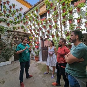 Visita a los Patios de Córdoba